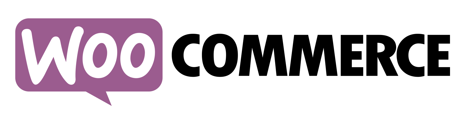 woocommerce developer SA